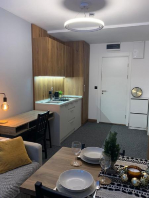 Apartman Glečer Vila Bela Reka